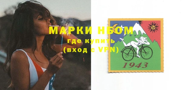 шишки Михайловск