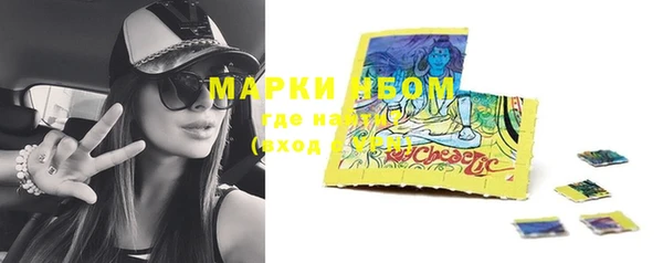 шишки Михайловск