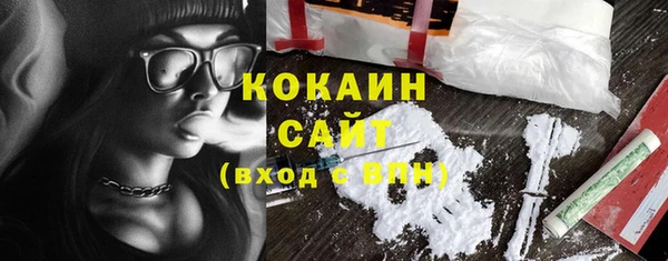 шишки Михайловск