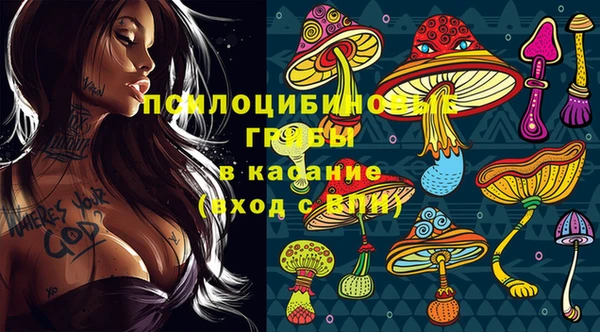 а пвп мука Михайлов