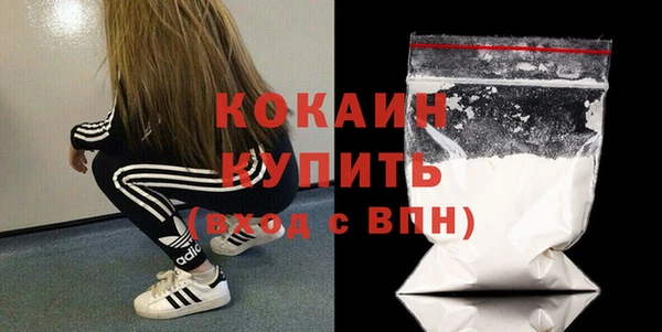 шишки Михайловск