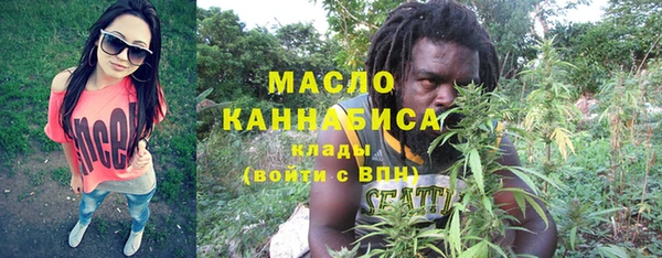 шишки Михайловск