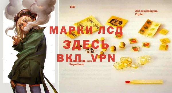 шишки Михайловск