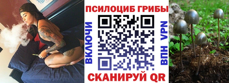 Псилоцибиновые грибы Psilocybe  хочу   Ижевск 