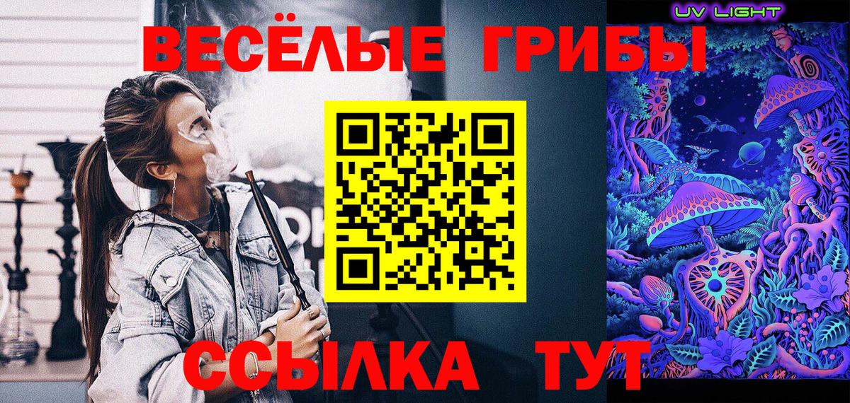 Ижевск  Галлюциногенные грибы Cubensis  Вход с VPN 