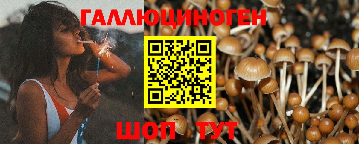 Галлюциногенные грибы Magic Shrooms Ижевск